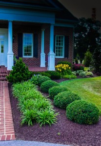 home and gardening landscape