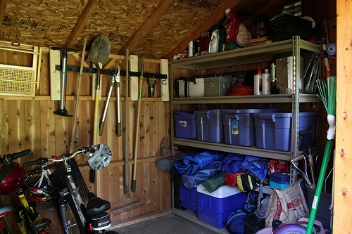 the organized shed