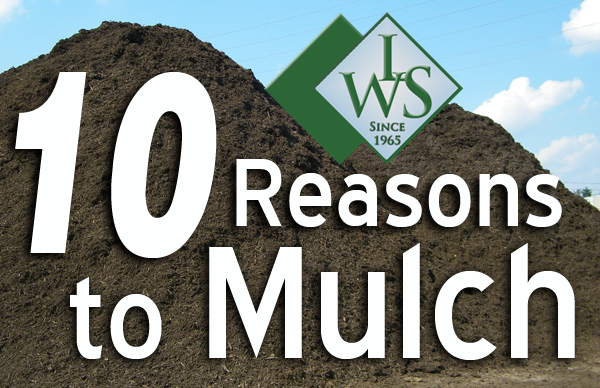 mulch Maryland, Carroll County, mulch cost per yard, mulch dye, mulch for sale, mulch manufacturing, mulch prices, mulch prices per yard, mulch sale, mulch solutions, mulch suppliers, mulch types, mulch wholesale