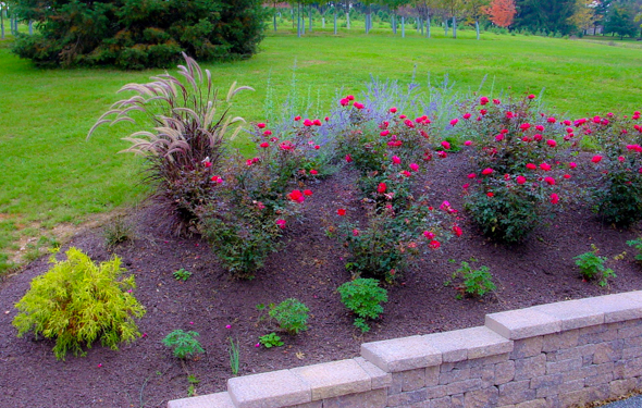 Beautiful Front Yard Landscaping | 8 Insider Secrets!