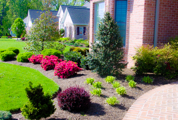 Beautiful Front Yard Landscaping | Beautiful Front Yard Landscaping Ideas | Mulch Maryland | Landscape Stone Carroll County | Garden Supply Westminster | Topsoil Hampstead Maryland Beautiful Front Yard Landscaping | Beautiful Front Yard Landscaping Ideas