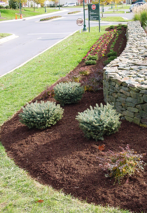 How to make a mulch bed | mulch westminster maryland